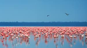 nakuru
